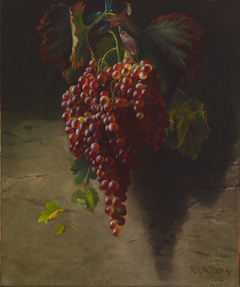 Bunch of Grapes by Andrew John Henry Way