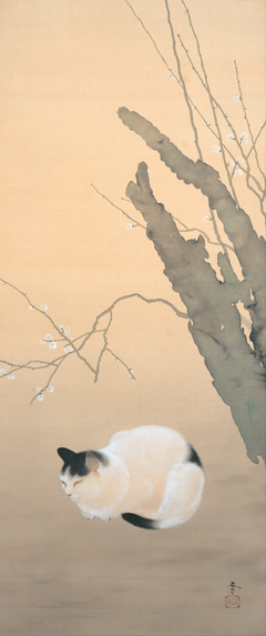 Cat and Plum Blossoms by Hishida Shunsō