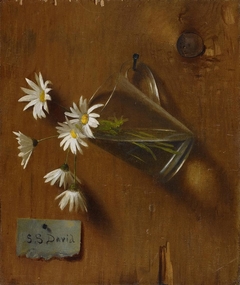 Daisies by De Scott Evans