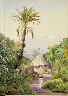 Date Palm and Hut near Craigton, Jamaica by Marianne North