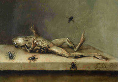 Dead Frog with Flies by Ambrosius Bosschaert II