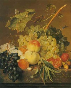 Fruit and nuts still life on a marble ledge by Jan van Huysum