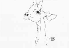 Giraffe by Daniel Novotny