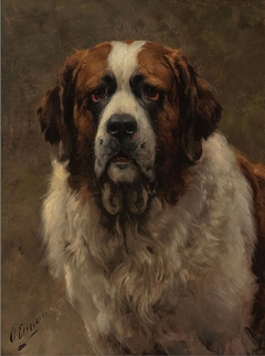 Head of a St. Bernard Dog by Otto Erelman