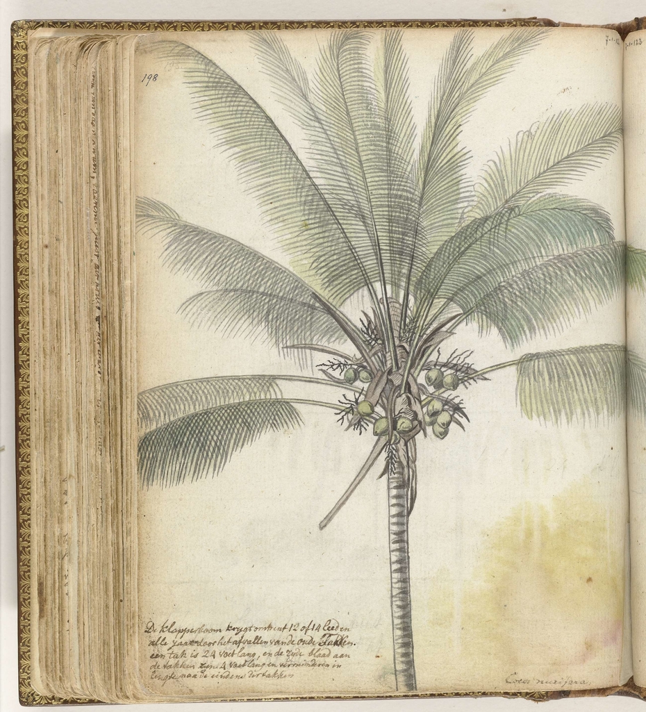 Exhibit image