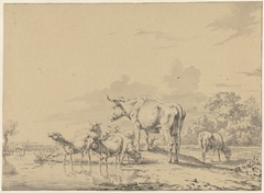 Koe tussen schapen aan waterkant by Jan Kobell II