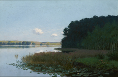 Lake with Water-Lilies by Stanisław Witkiewicz