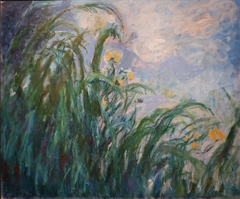 Les iris jaunes by Claude Monet