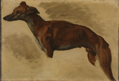 Lévrier by Eugène Delacroix