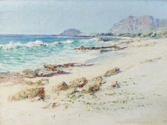 Makapuu Point from Waimanalo Beach by D. Howard Hitchcock