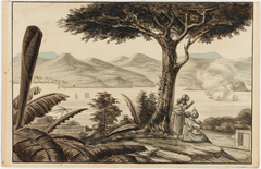 Panorama de la Baie de Rio-Janeiro Prise de Santa Therese Praya Grande, San Domingo by Harro Harring