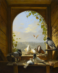 Pigeons by Henry Voordecker