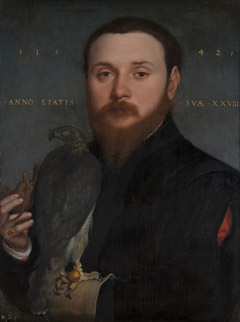 Portrait of a Nobleman with a Hawk by Hans Holbein the Younger