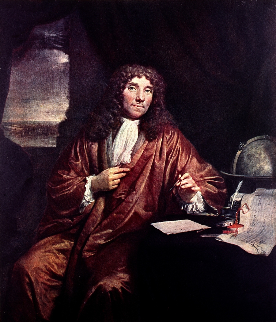 Exhibit image