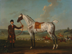 Scipio, a spotted hunter, the property of Colonel Roche by Thomas Spencer