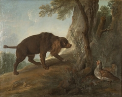 Spaniel Pointing Partridge by Jean-Baptiste Oudry