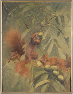 Squirrels by Christoffel Bisschop