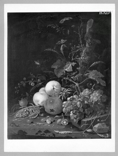 stillife various fruit and plant. by Abraham Mignon