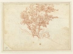 Studie van een bomengroep by Agostino Carracci