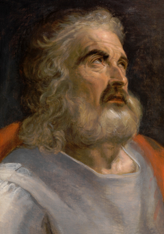 Study of the head of a bearded man by Frans Floris I