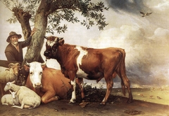 The Young Bull by Paulus Potter