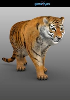 Tiger Animal Character Modeling by GameYan Studio