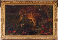 Tigers Drinking by John Macallan Swan