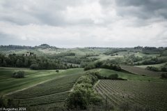 Tuscany by Augustus Mithal