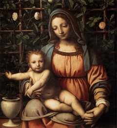 Untitled by Bernardino Luini