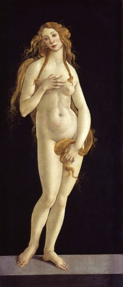 Venus by Sandro Botticelli