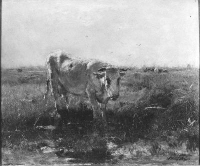 Exhibit image