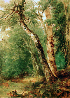 Woodland Interior by Asher Brown Durand