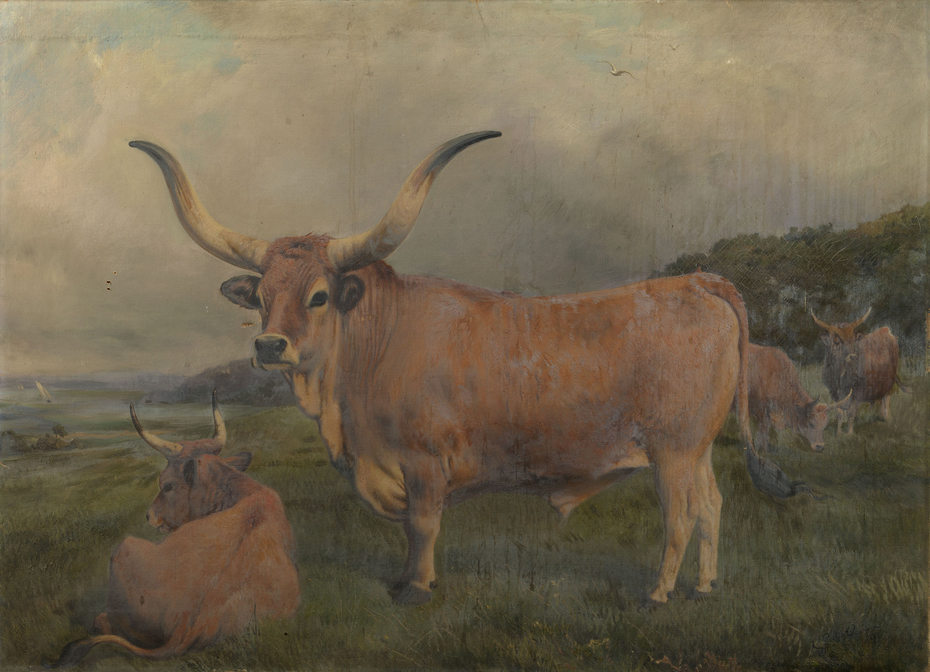 Exhibit image