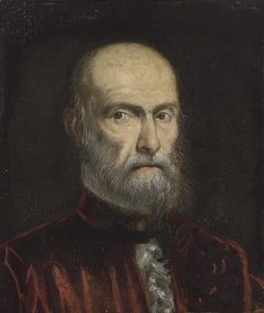 A Procurator of San Marco by Domenico Tintoretto