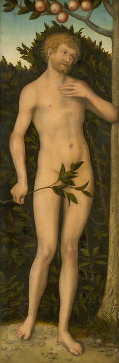 Adam by Lucas Cranach the Elder