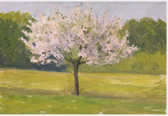 An Apple Tree in Blossom by Eugène-Emmanuel Lemercier