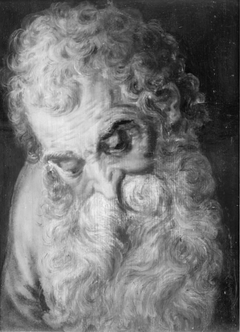 An Old Man's Head by Frans Floris I