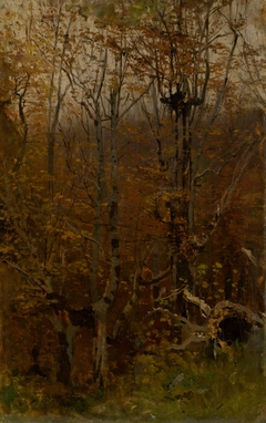 Autumn Hardwood Forest by László Mednyánszky