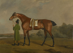 "Banker", a Racehorse Belonging to Frederick, Duke of York by Edwin Cooper