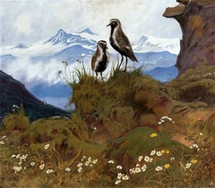 Birds in a mountain landscape. by Friedrich Lissmann