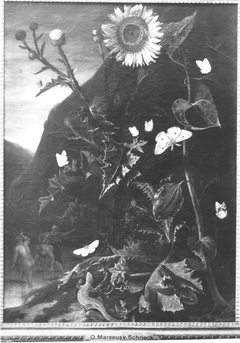 Blumenstillleben mit Sonnenblume, Schmetterlingen, Eidechse und Nymphen (?) by Otto Marseus van Schrieck