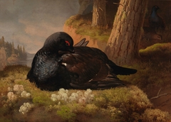 Capercaillie by Ferdinand von Wright