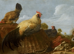 Cock and Hens in a Landscape by Gijsbert d'Hondecoeter