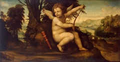 Cupid in the Landscape by Il Sodoma