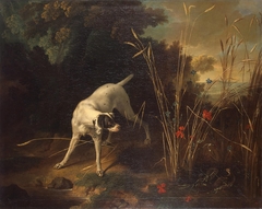 Dog Pointing a Partridge by Jean-Baptiste Oudry