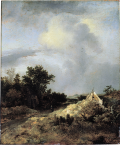 Dune Landscape with Fence, ca. 1647 by Jacob van Ruisdael