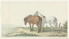 Een bruin en wit paard op een weg naast een hek by Jean Bernard