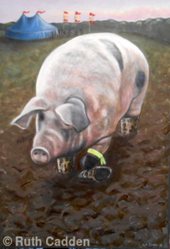 Festival Pig by Ruth Cadden