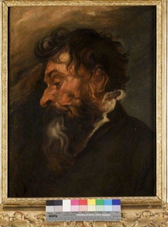 Head of a Bearded Man in Profile by Anthony van Dyck