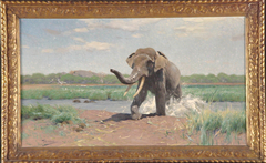 Indische olifant uit het water stappend by Wilhelm Kuhnert